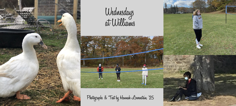 Wednesdays at Williams