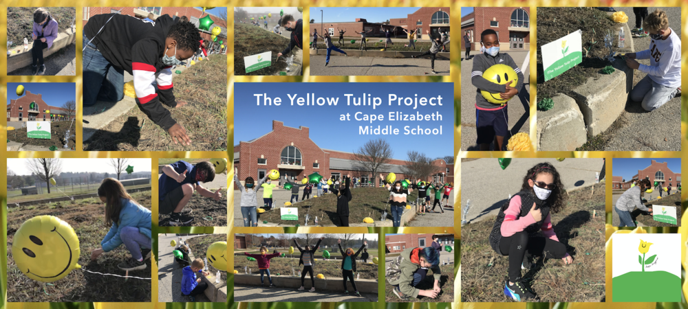 Yellow Tulip Project @ CEMS