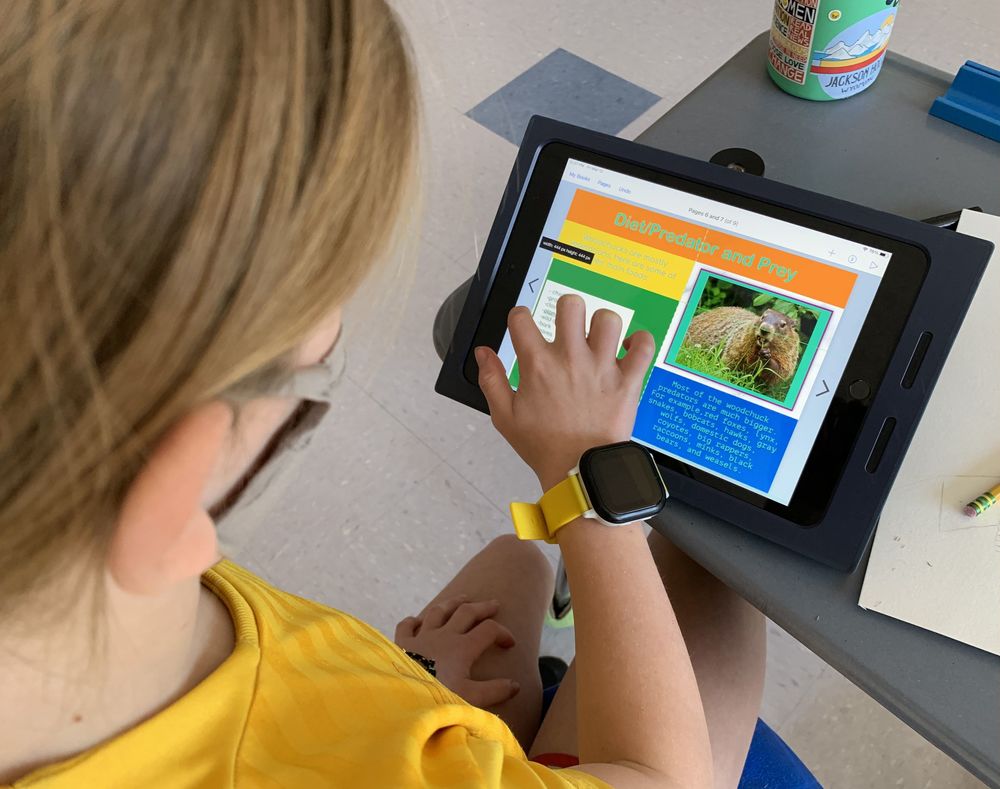Technology Integration with Grade 4