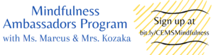 Mindfulness Ambassadors Program