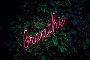 Ongoing Family Mindfulness Drop In Classes