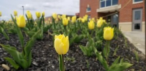 Hope is in full bloom at CEMS!