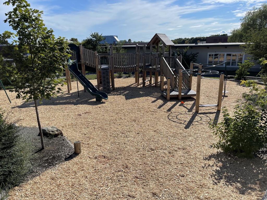 New Wood Chips - playgrounds