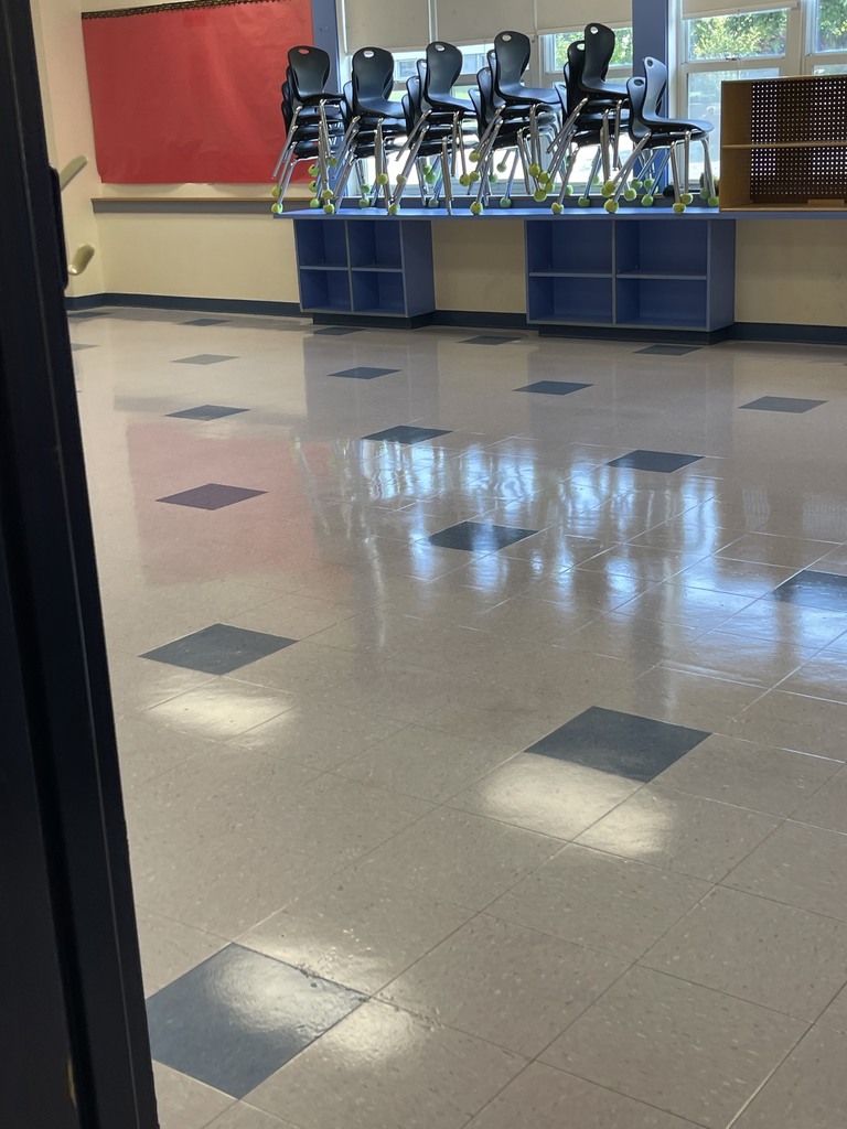 clean floors in the schools