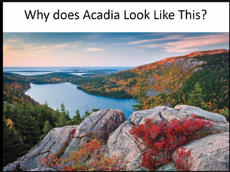 acadia landscaping